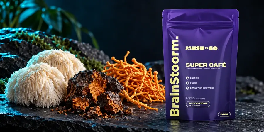 A Brainstoorm három gombája, süngomba, chaga és cordyceps a tasak mellett sötét kövön