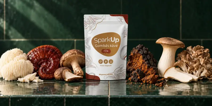 SparkUp fahéjas gombás kávé tasak hat gomba között: süngomba, pecsétviaszgomba, shiitake, chaga, ördögszekér laskagomba és maitake sötétzöld csempe előtt